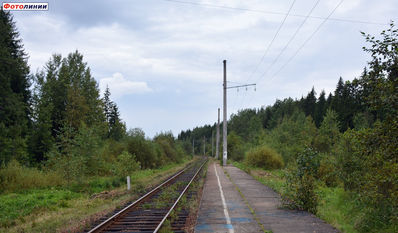 Вид с платформы в сторону Новгорода