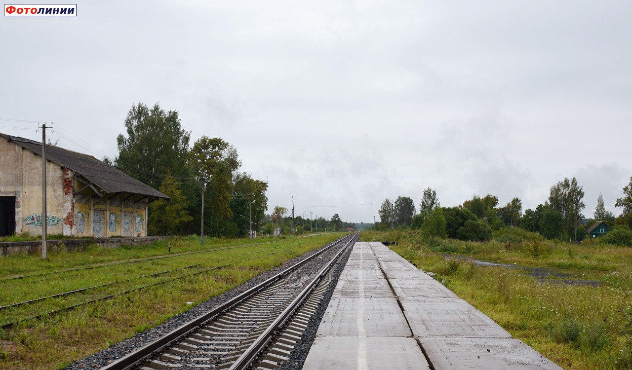 Вид со 2-й платформы в сторону Новолисино