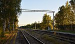 станция Лустовка: Вид с платформы в сторону Новолисино