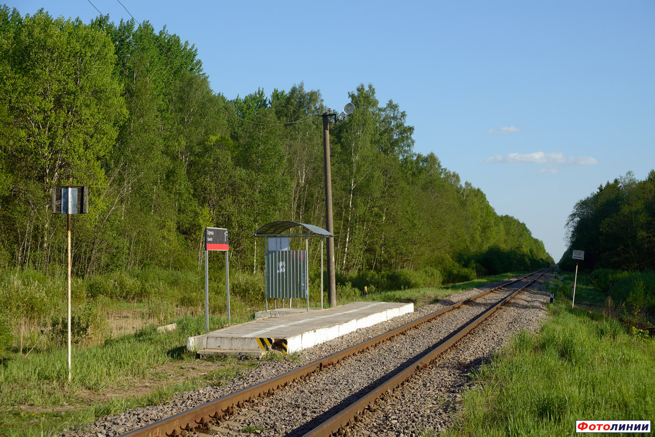 Пассажирская платформа, вид в сторону Новгорода