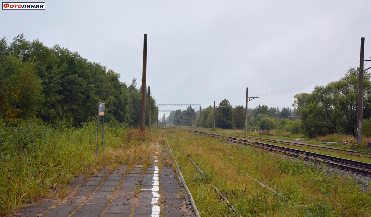 Вид с недействующей платформы в сторону Новолисино