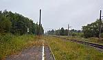 станция Радофинниково: Вид с недействующей платформы в сторону Новолисино