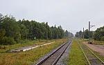 станция Радофинниково: Недействующая платформа. Вид в сторону Новолисино