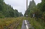 о.п. 77 км: Вид с платформы в сторону Новгорода