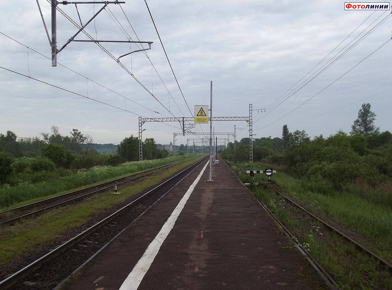 Вид в сторону Новгорода