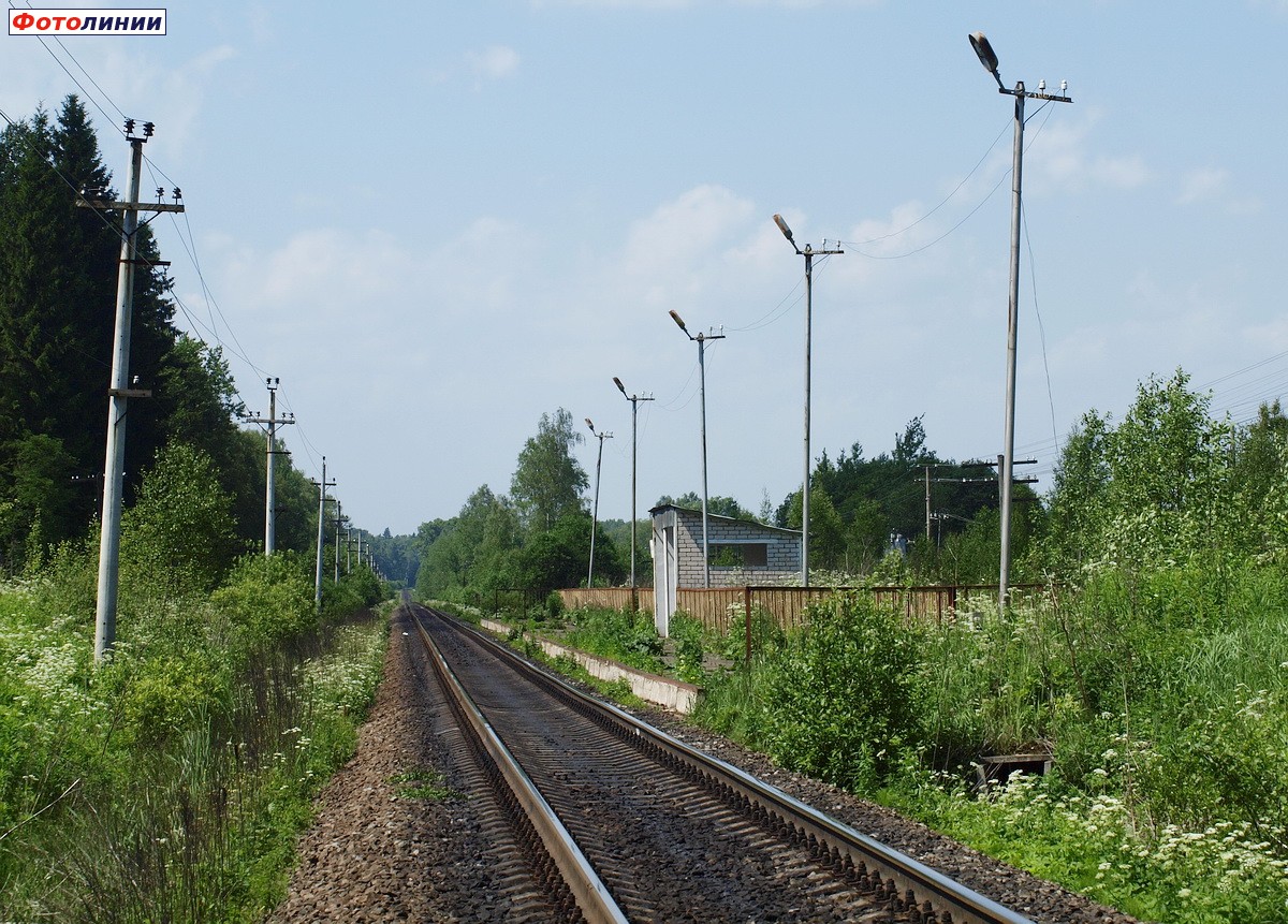 Вид в сторону Ржева