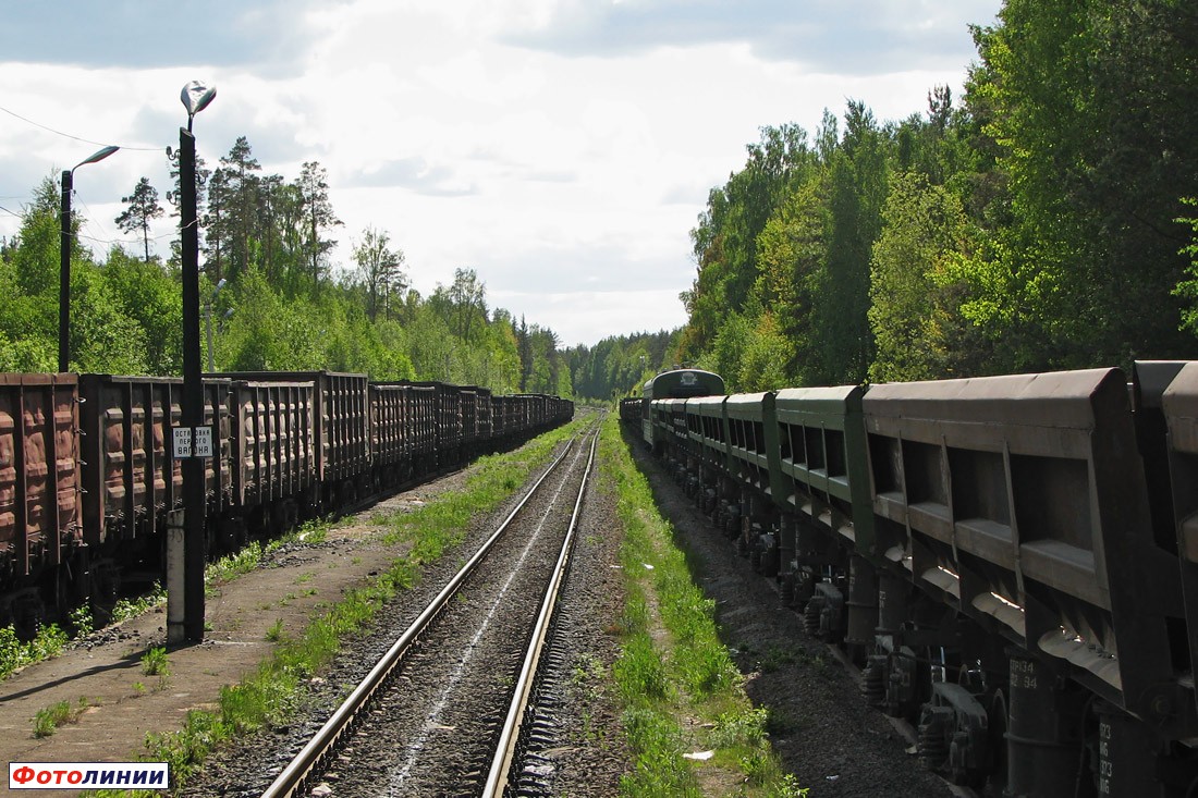 Вид в сторону ст. Каменногорск