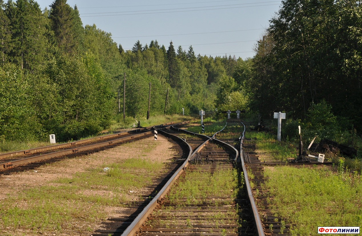 Ответвление подъездного пути на леспромхоз (посреди перегона, близ о.п. 76 км)