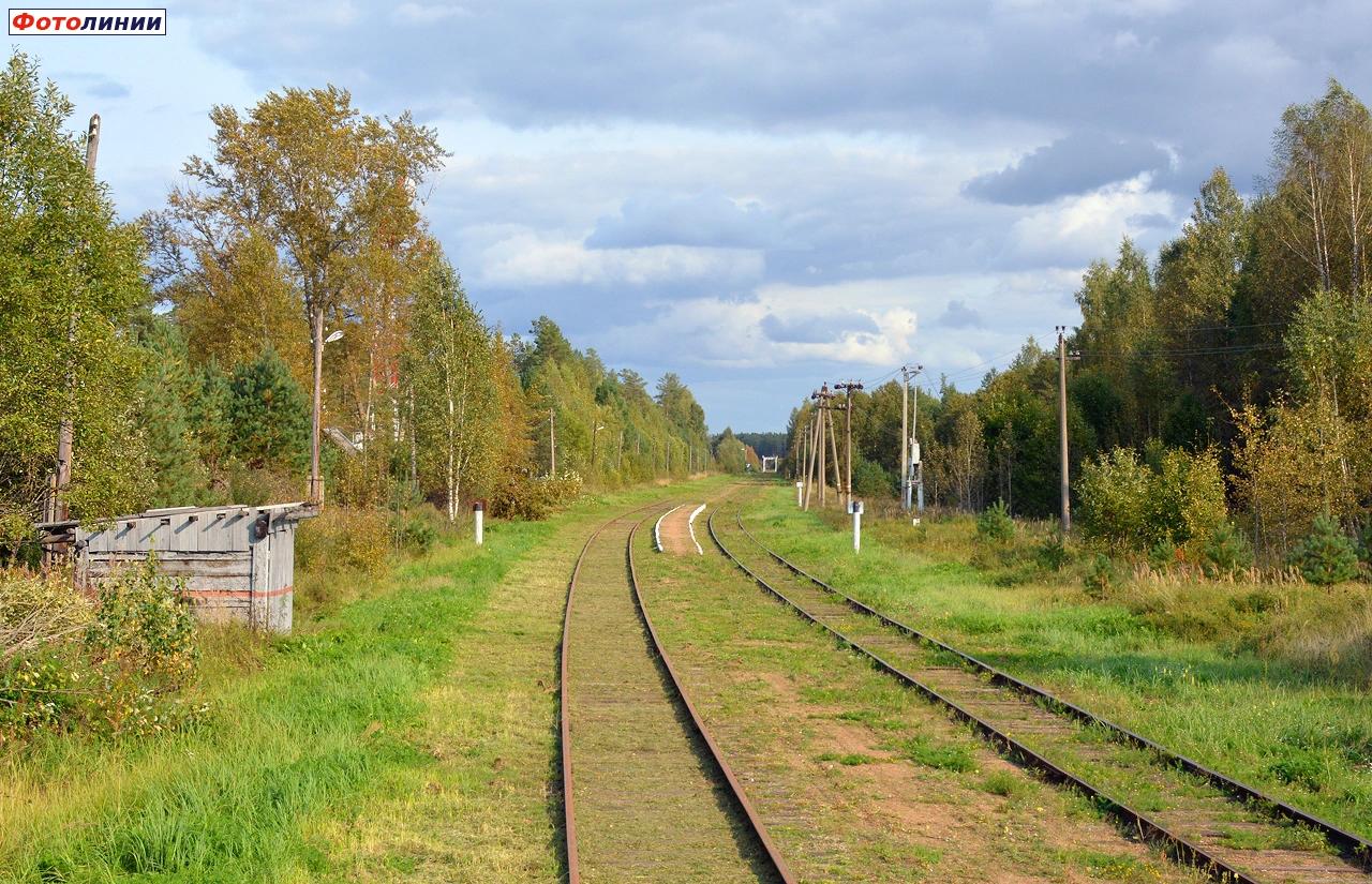 Вид в сторону Торжка