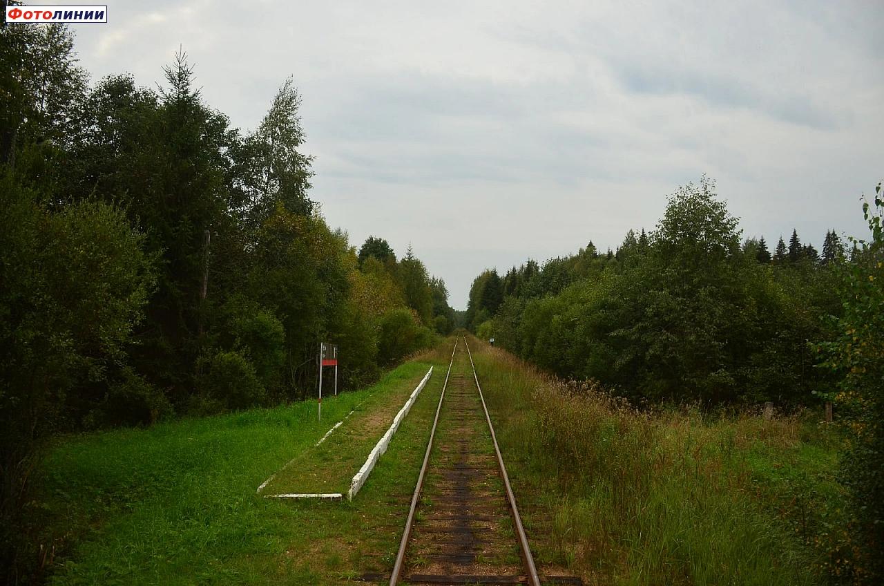 Вид в сторону станции Селижарово