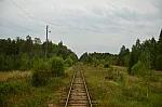 о.п. Новоселки: Вид в сторону станции Селижарово