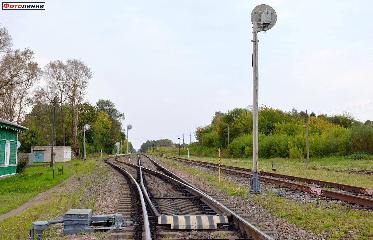 Вид в сторону Ржева