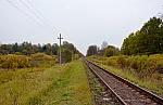о.п. 147 км: Вид с платформы в сторону Вязьмы