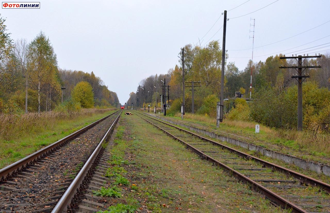 Вид в сторону Вязьмы