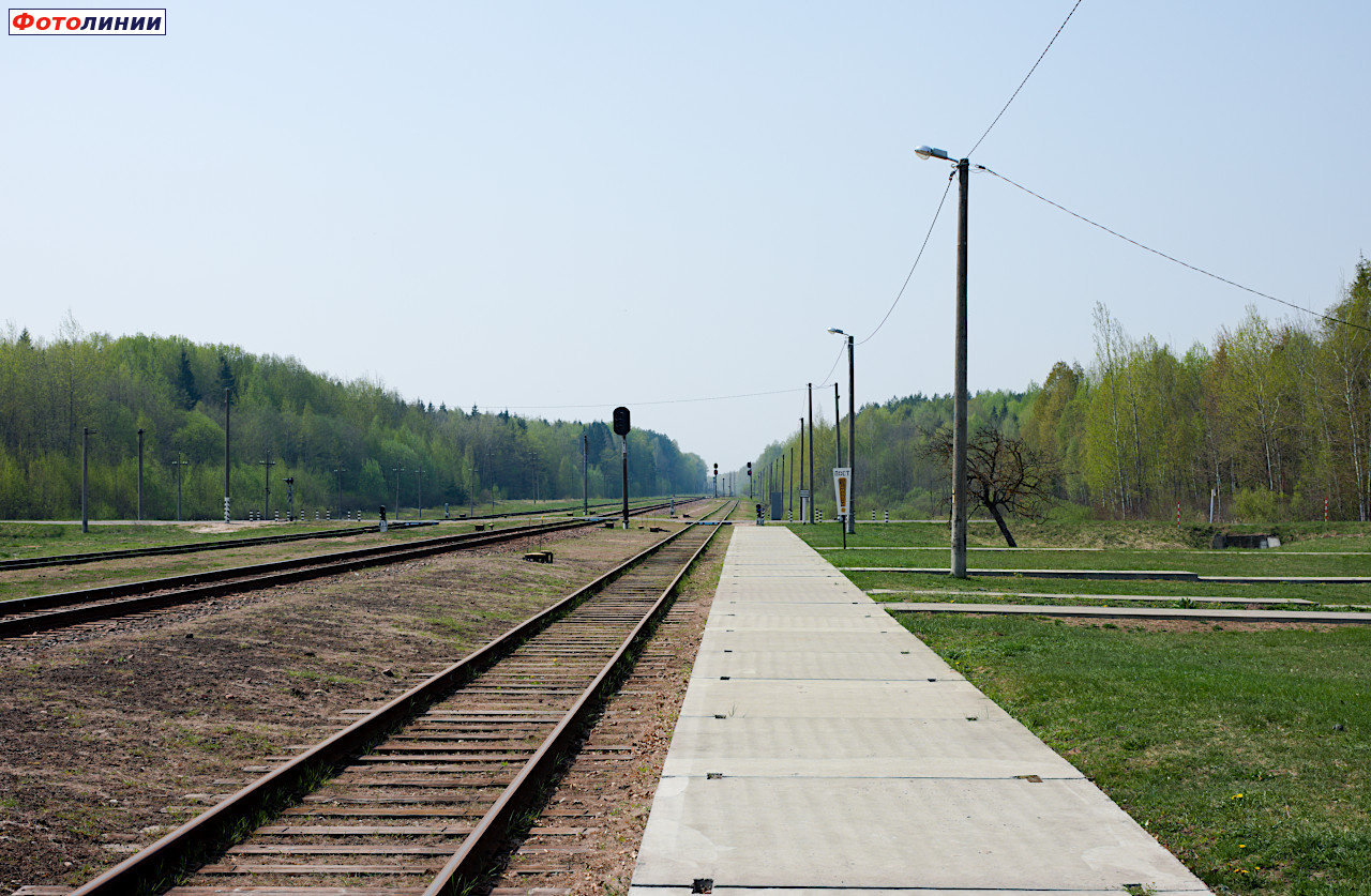 Платформа, вид в сторону Кричева-1
