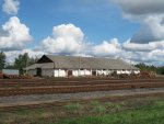 станция Уречье: Здание склада и лесоматериал готовый к отгрузке