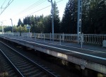 о.п. 117 км: Вторая платформа, вид в сторону Зеленогорска
