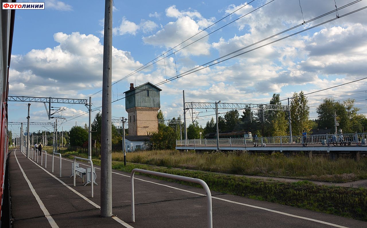 Вид в сторону Зеленогорска