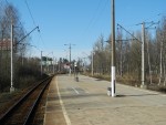станция Лисий Нос: Вид с платформы в сторону Сестрорецка