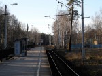 о.п. Тарховка: Вид с платформы в сторону Сестрорецка