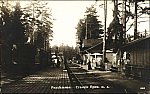 На станции, 1900-1917 гг