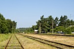 станция Куолемаярви: Вид в сторону ст. Приморск