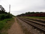станция Советский: Вид в сторону Зеленогорска