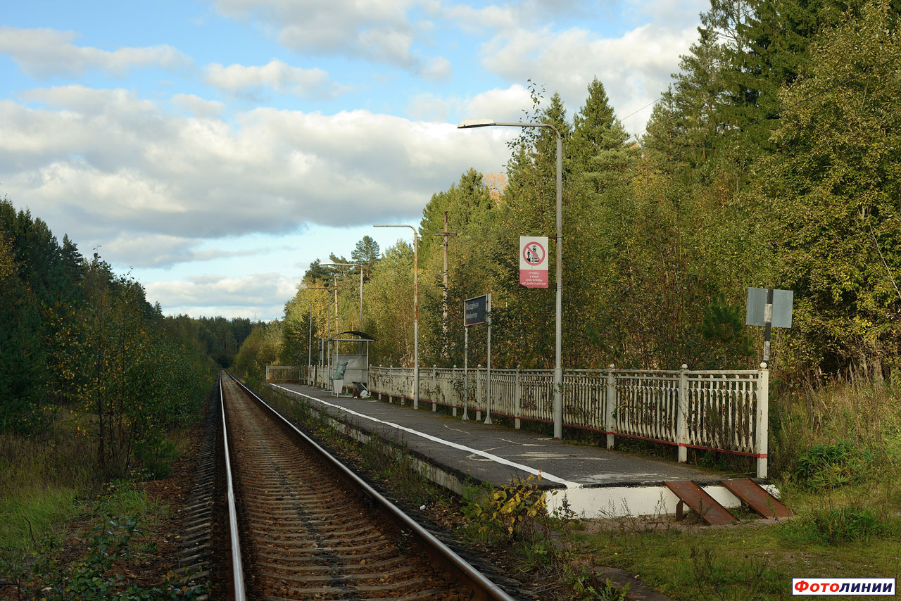 Платформа, вид в сторону Зеленогорска