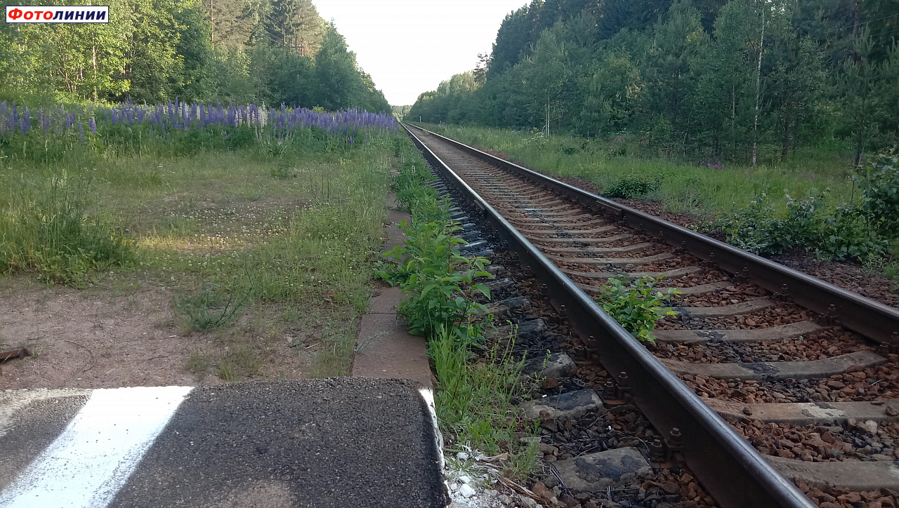 Финская пассажирская платформа. Вид в сторону ст. Приветненское