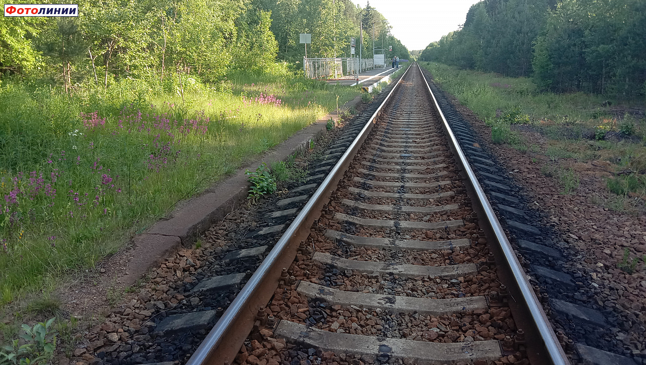 Старая финская пассажирская платформа. Вид в сторону ст. Приветненское