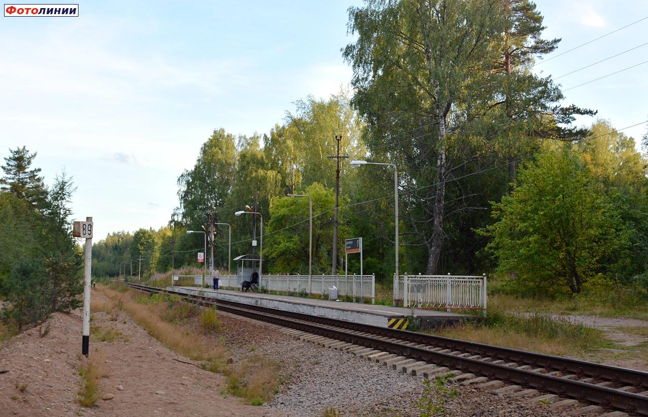 Вид в сторону Санкт-Петербурга