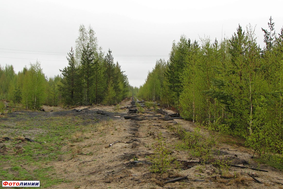 Разобранный путь за тупиком в сторону лесозаготовительной базы