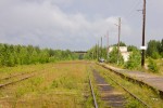 станция Боровая: Вид в сторону ст. Юшкозеро