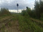 станция Боровая: Отключённые выходные светофоры Н1 и Н3. Вид в сторону ст. Ледмозеро