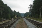 станция Видлица: Вид в сторону Ильинской