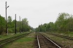 станция Олонец: Вид в сторону ст. Ильинская