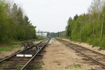 станция Ильинская: Вид в сторону ст. Салми