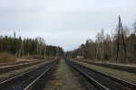 станция Янисъярви: Вид в сторону ст. Леппясюрья