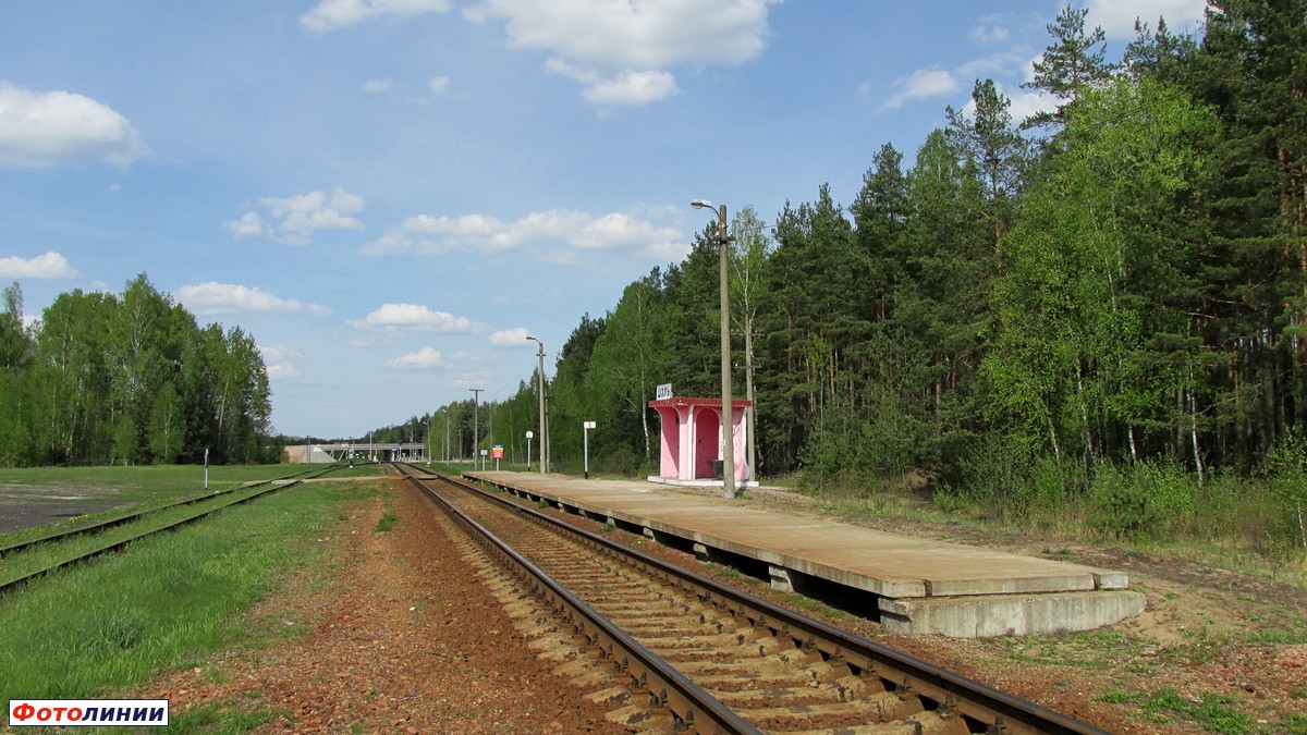 Платформа, вид со стороны Верейцов