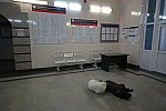 станция Свирь: Информационные стенды в пассажирском здании