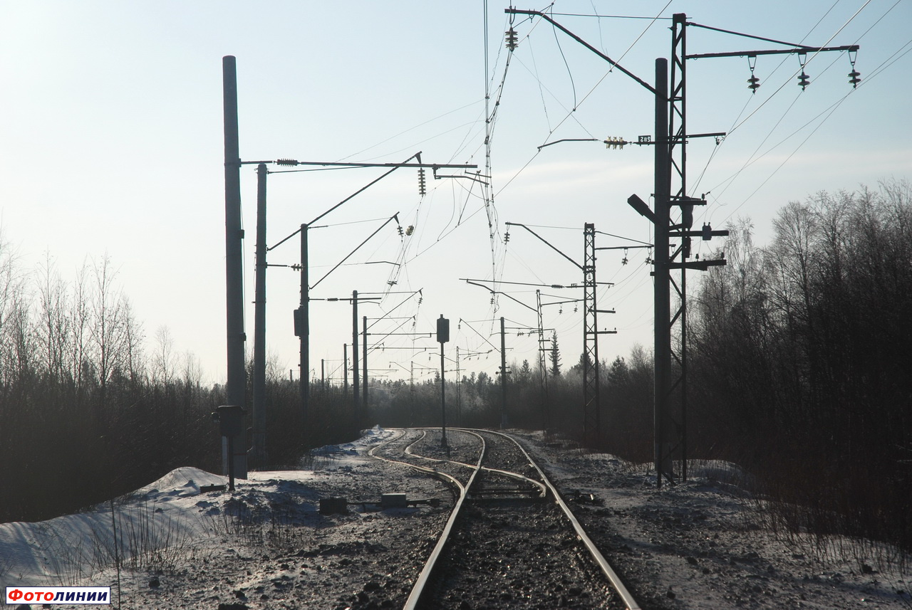 Северная горловина