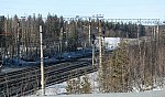 Маршрутные светофоры ЧМIIБ и ЧМIБ в южной части станции (участок Оленегорск - 1333 км)