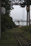 станция Столбцы: Подъездной путь Новосверженского лесозавода
