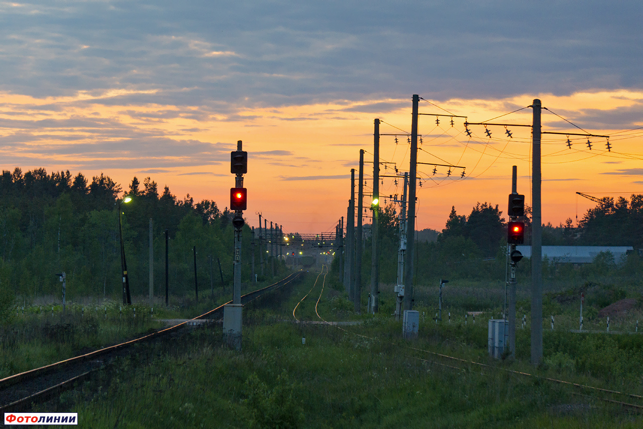 Входные светофоры со стороны станции Тальцы-Мологские и линии Тихвин - Будогощь, вид в сторону ст. Кириши