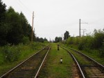 станция Невдубстрой: Вид на подъездные пути к Дубровской ТЭЦ из нечётной горловины