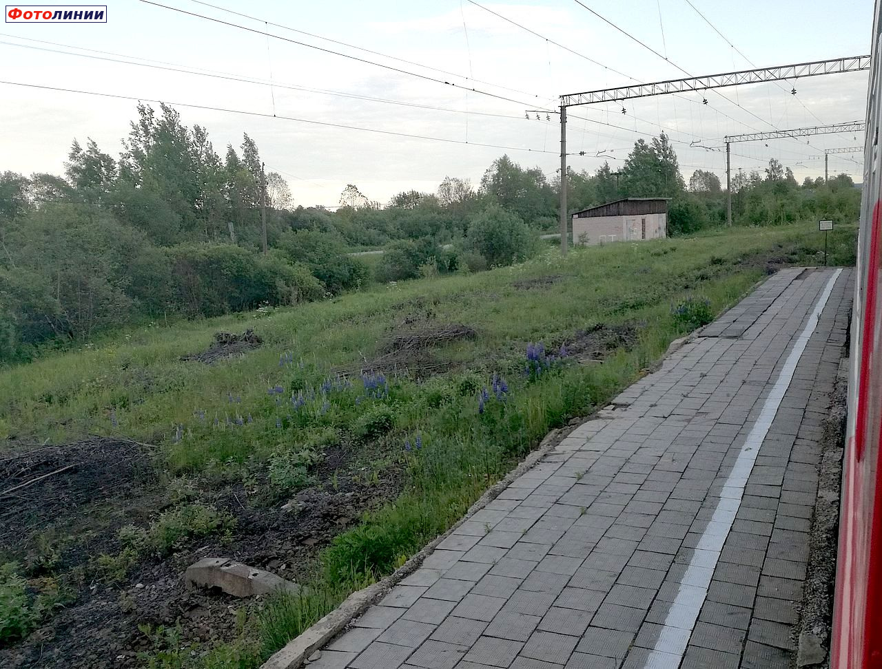 Платформа и остатки путей бывшей станции Гостинополье, вид в сторону ст. Глажево