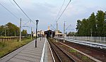 станция Новый Петергоф: Вид с платформы № 2 в сторону Ораниенбаума