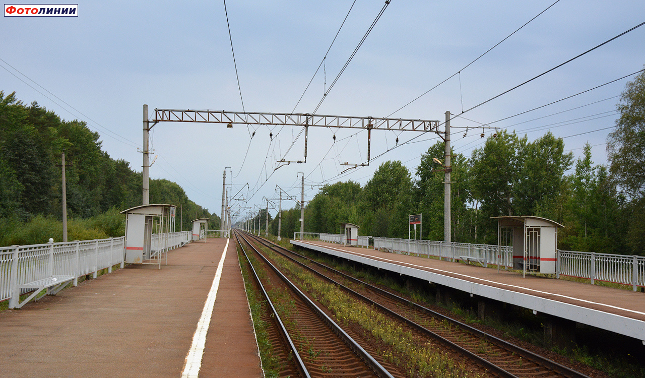 Вид с платформы в сторону Ораниенбаума