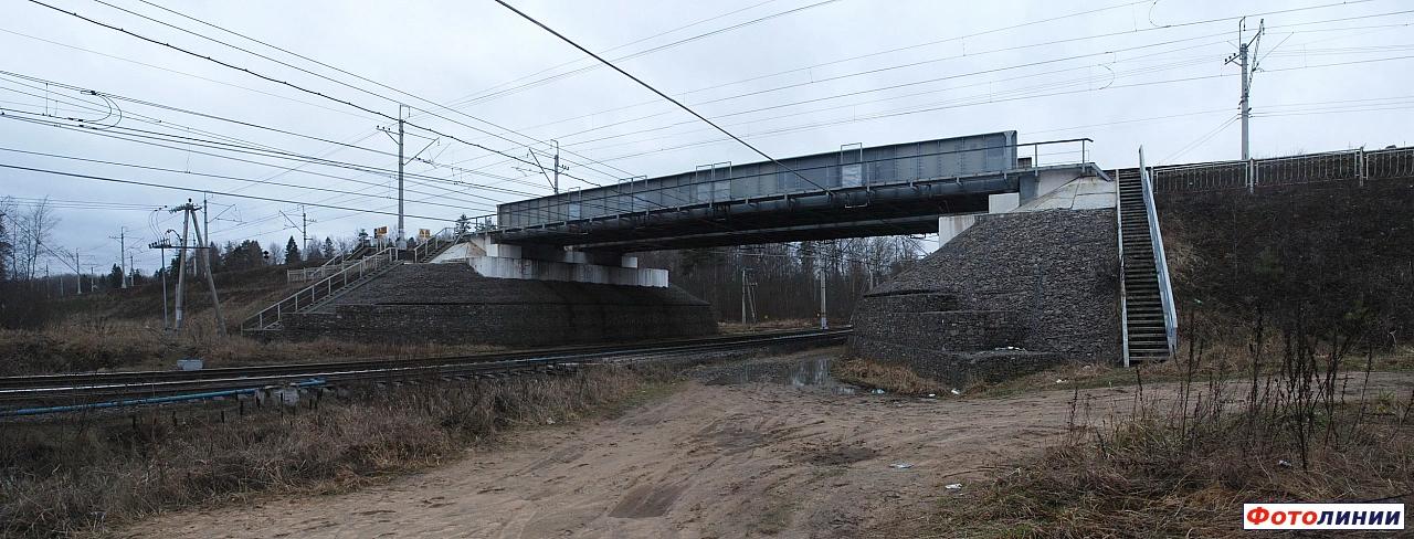 Путепровод перегона Кобралово - Семрино над станцией