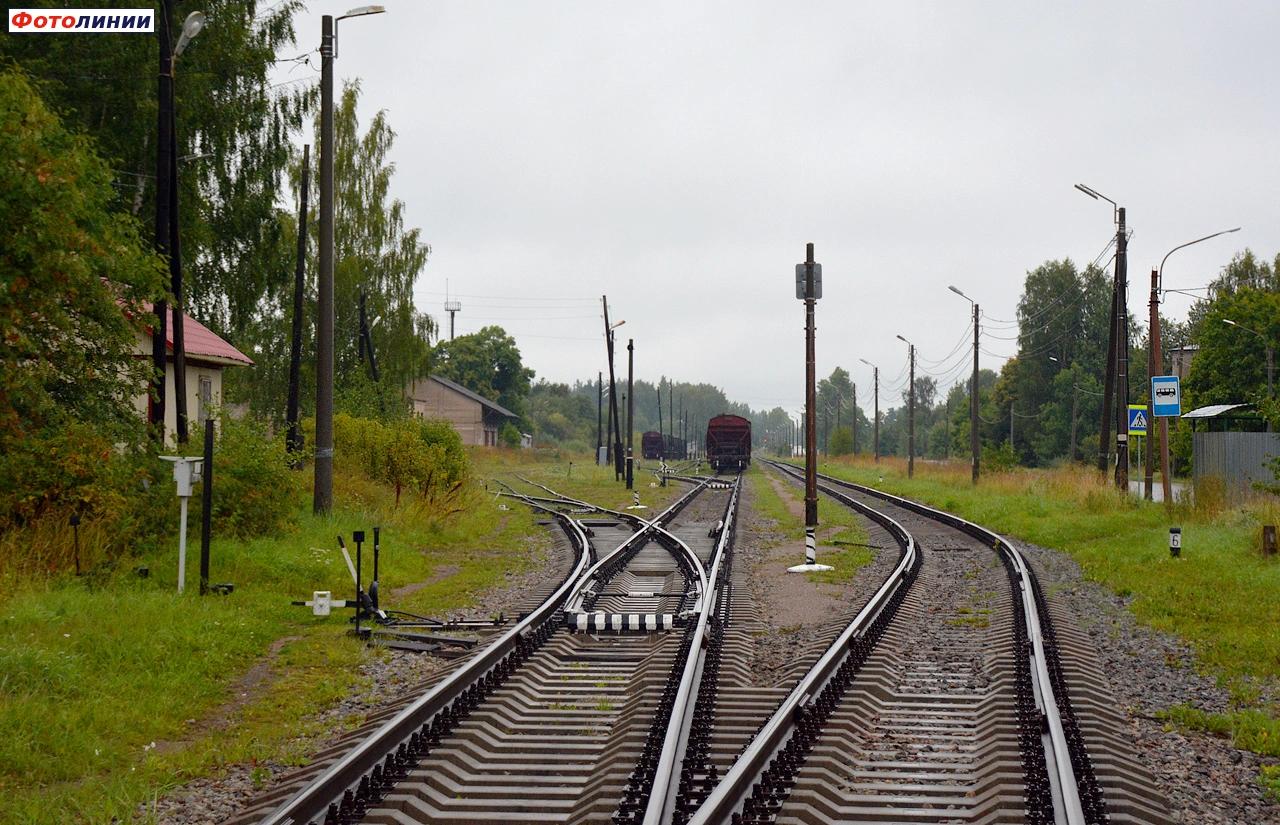 Вид в сторону Веймарна